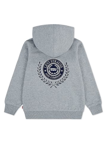 Hoodie in Grau