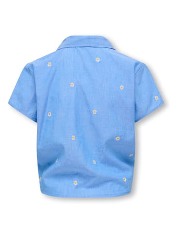 Blouse lichtblauw