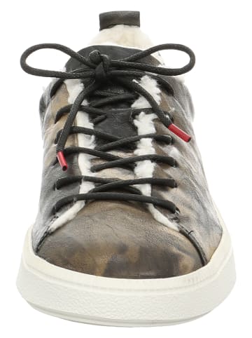 Think! Leder-Sneakers "Turna" in Bunt