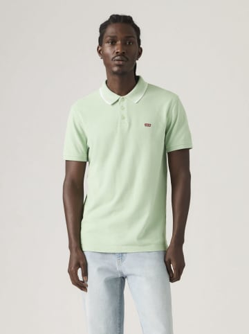 Poloshirt Hellgrün in Grün