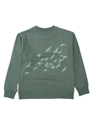 Bluza w kolorze zielonym