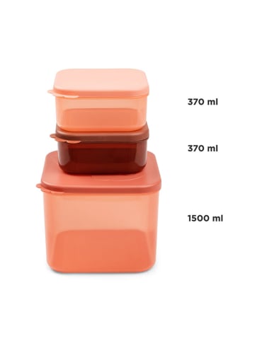 3tlg. Lunchboxen-Set "Elphee Papaya" in Orange