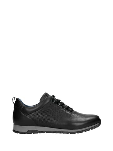 Skórzane sneakersy w kolorze czarnym