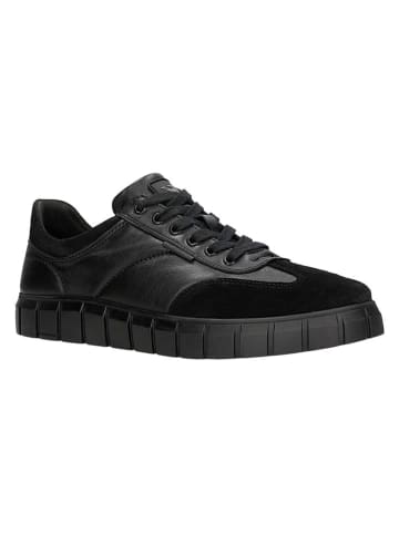 Skórzane sneakersy w kolorze czarnym