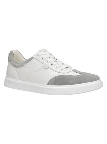 Skórzane sneakersy w kolorze biało-szarym