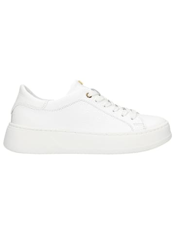Leder-Sneakers in Weiß