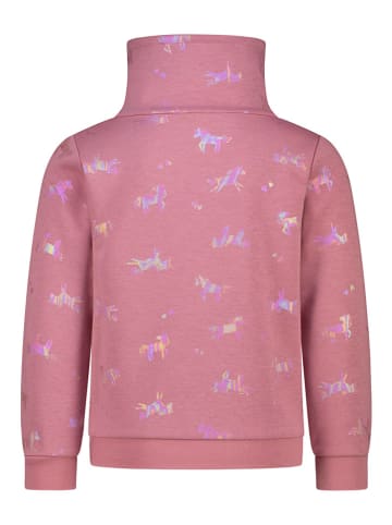 Salt and Pepper Sweatshirt in Rosa