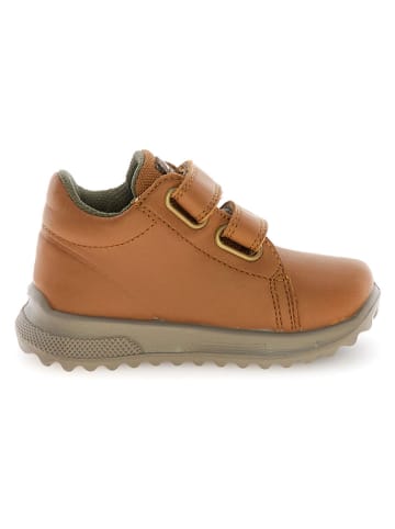 Naturino Leren sneakers "Nuvik" lichtbruin