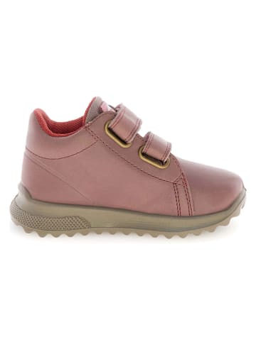 Naturino Skórzane sneakersy "Nuvik" w kolorze jasnoróżowym