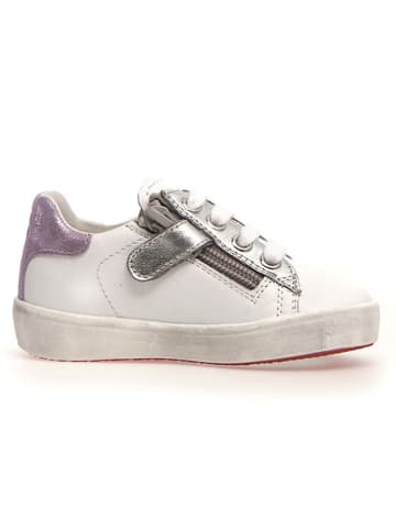 Skórzane sneakersy "Annie" w kolorze biało-fioletowo-srebrnym