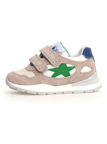 Leder-Sneakers "Daudi" in Beige/ Grün