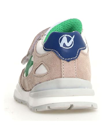 Leren sneakers "Daudi" beige/groen