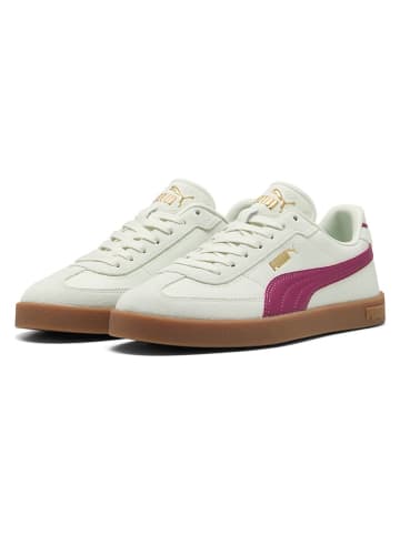 Leder-Sneakers "Club II Era" in Beige/ Pink