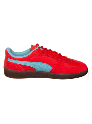 Sneakersy "Palermo Pop" w kolorze czerwonym
