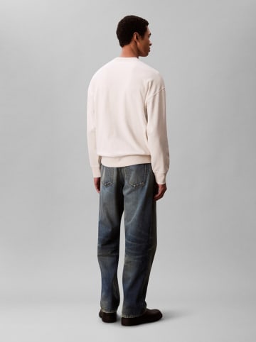 Sweatshirt in Sand