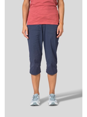 Shorts in Dunkelblau