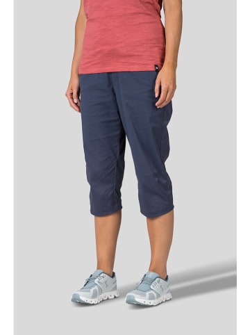 Shorts in Dunkelblau
