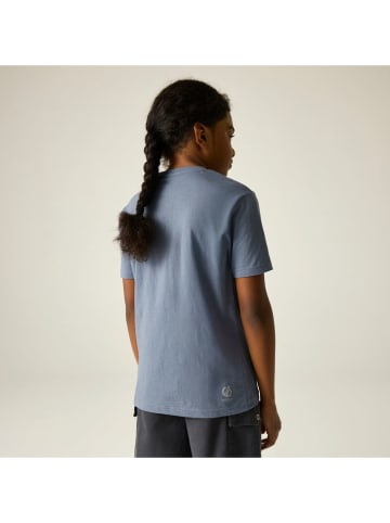 Shirt "Trailblazer IIi" blauwgrijs