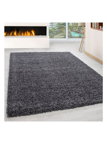 Hochflor-Teppich "Akgri" in Grau