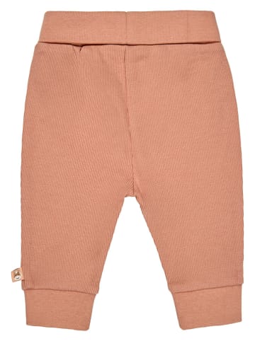 Sweathose in Orange