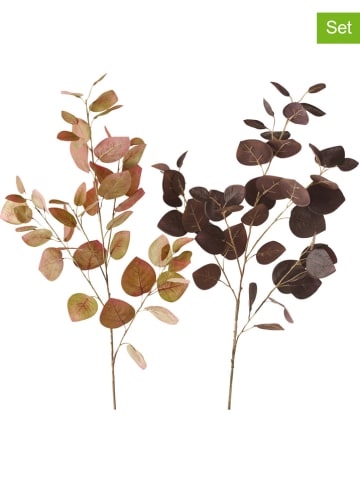 Gałązki dekoracyjne (2 szt.) "Dichondra" w kolorze brązowym - wys. 95 cm