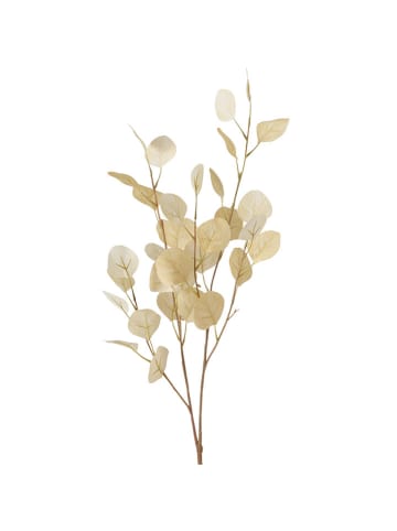2er-Set: Dekozweige "Eukalyptus" in Beige - (B)10 x (H)98 x (T)4 cm