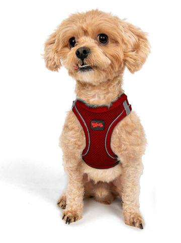 Hundegeschirr in Rot