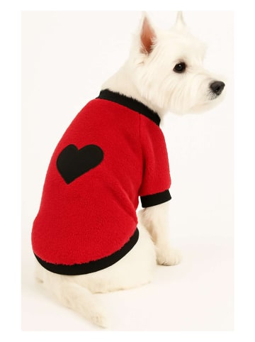 Hondenhoodie rood