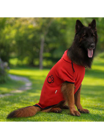 Hundehoodie in Rot
