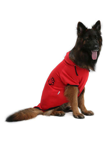 Hondenhoodie rood