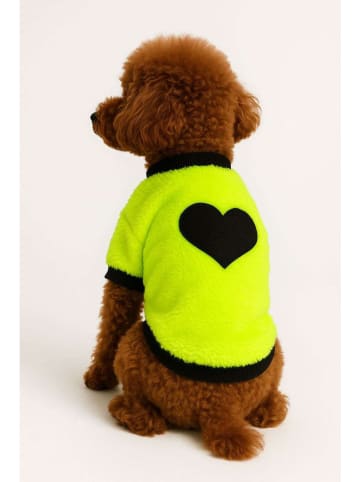 Hundehoodie in Neongrün