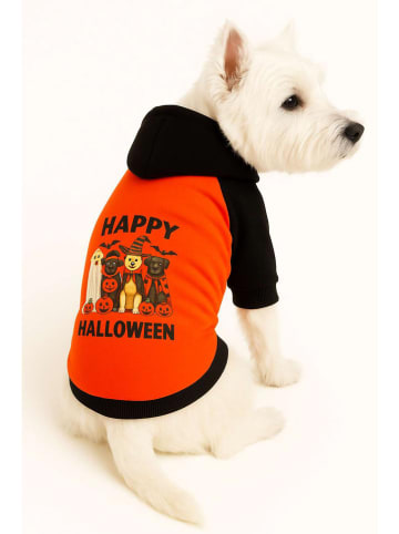 Hundehoodie in Rot/ Bunt