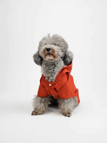 Hundemantel in Rot