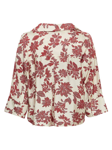 Blouse bordeaux/crème