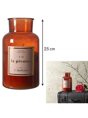 Duftkerze ''La Pivoine'' in Orange - 1400 g