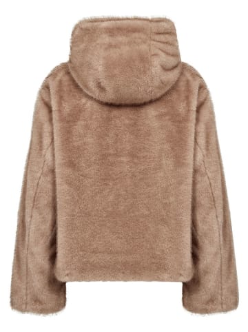 Teddyjas "Haye" camel
