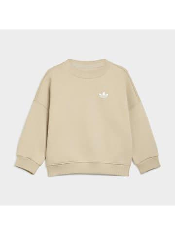 adidas 2tlg. Outfit in Sand