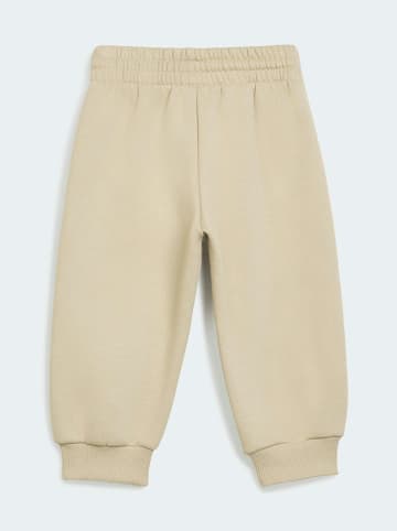 adidas 2tlg. Outfit in Sand