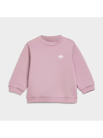 adidas 2tlg. Outfit in Rosa