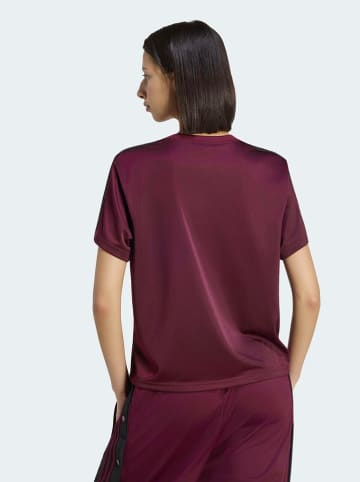 adidas Shirt bordeaux