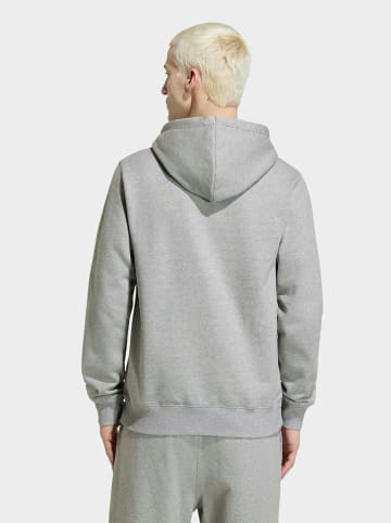 adidas Hoodie in Grau