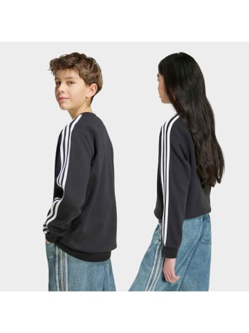 adidas Sweatshirt in Schwarz