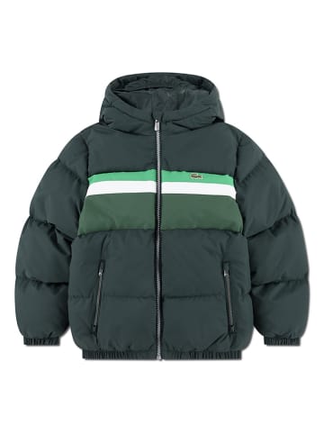 Winterjacke in Grün