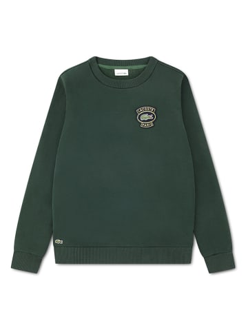 Sweatshirt in Grün
