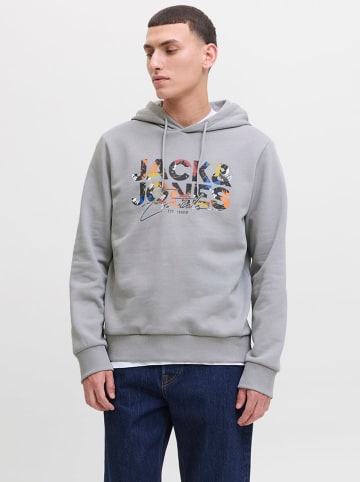 Hoodie "Geplas" in Grau