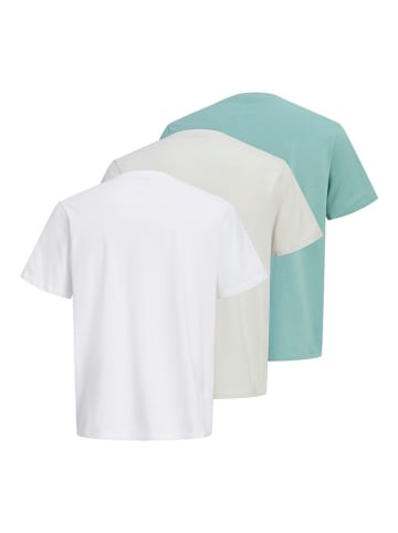 3-delige set: shirts "Indiana" turquoise/beige/wit