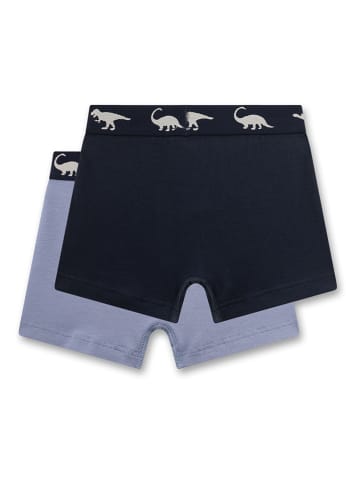 2er-Set: Boxershorts in Schwarz/ Hellblau