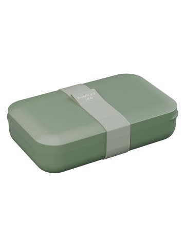 Luncbox in Oliv - (B)21,5 x (H)13,1 x (T)5,4 cm 