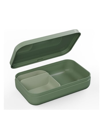 Luncbox in Oliv - (B)21,5 x (H)13,1 x (T)5,4 cm 