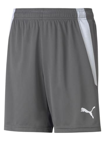 Trainingsshorts "teamLIGA" in Grau